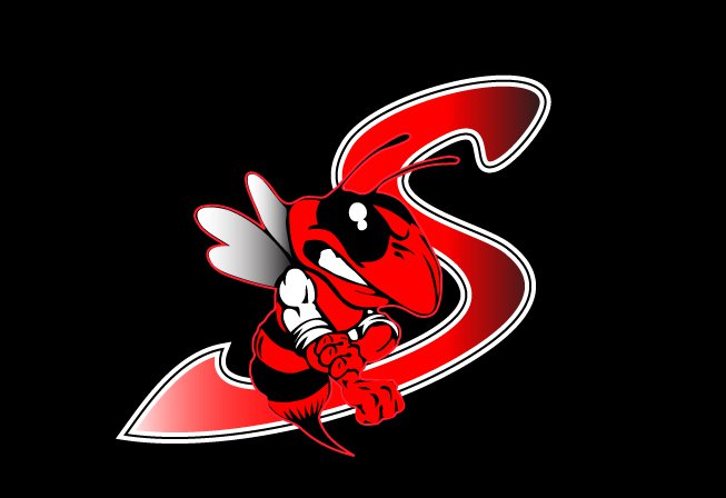 Baldwinsville Swarm