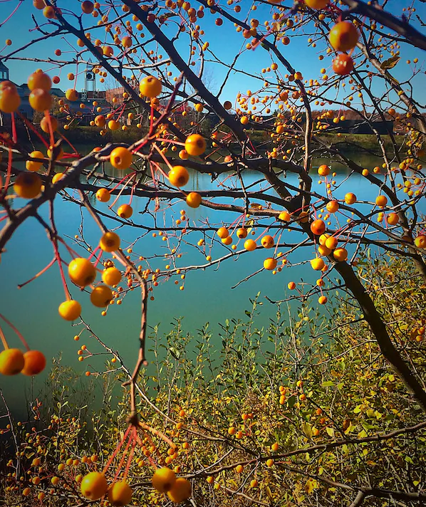 University At Buffalo – North Campus