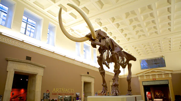 Buffalo Museum of Science