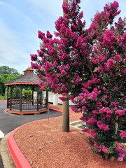 Days Inn by Wyndham Clemson