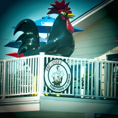 Brewer Motor Inn