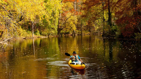Pinnacle Mountain State Park