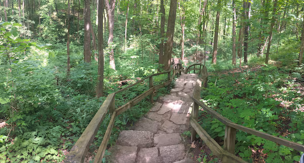 Holliday Park